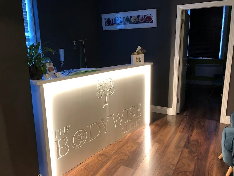 The Bodywise Clinic