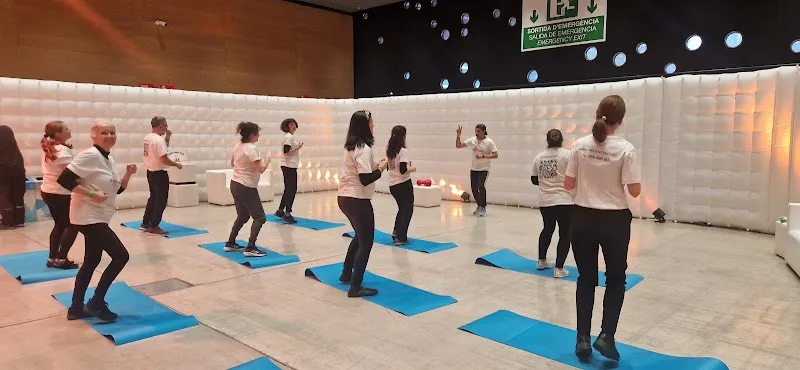 The Vital Touch- Chair Massage,Workshops, Corporate Wellness