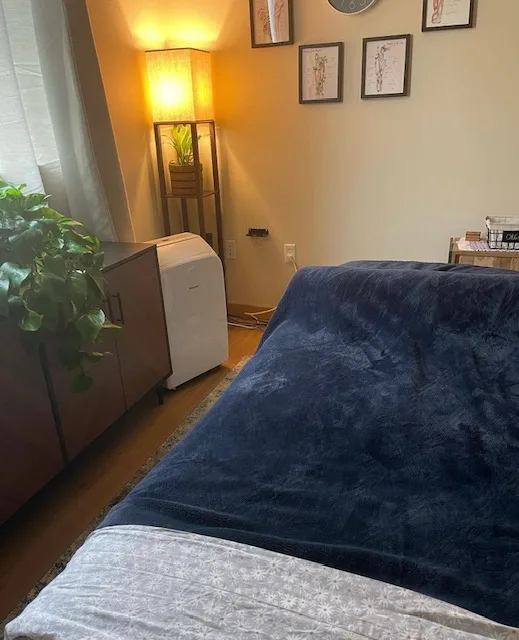 Ballard Massage CBD Cupping Intraoral Massage Lymphatic Drainage